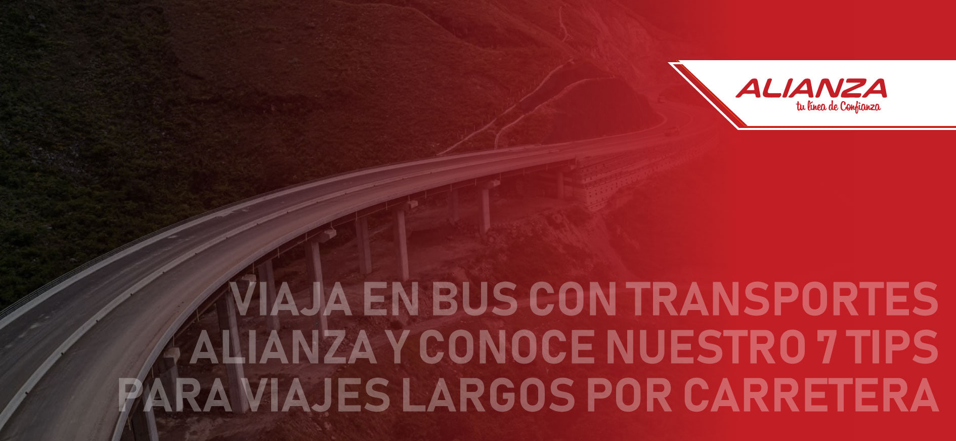 Viaje en bus con transportes Alianza y conoce nuestros 7 tips para viajes largos por carretera